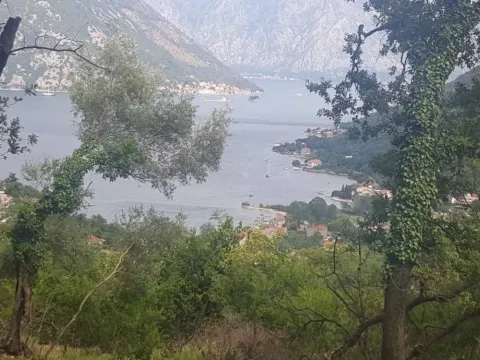 Prodaja, plac, 5270m², Kotor, Crna Gora - image 3