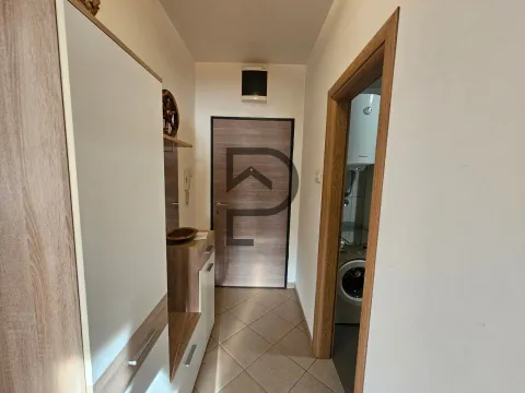 Rent, one bedroom apartment, 55m², Ljubović, Podgorica - image 11