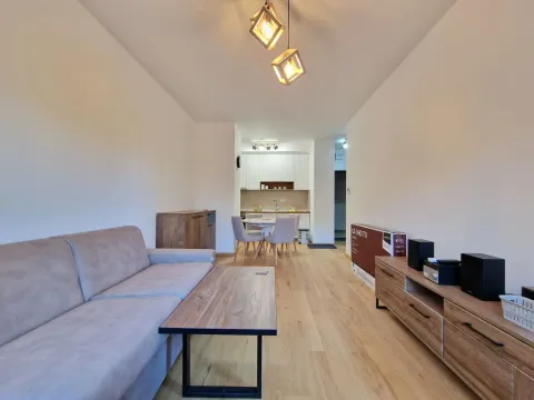 Izdavanje, jednosoban stan, 42m², Bečići, Budva - image 6