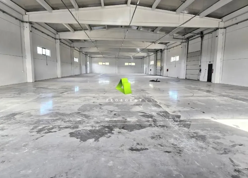 Izdavanje, poslovni prostor, 2220m², Pantelej, Niš