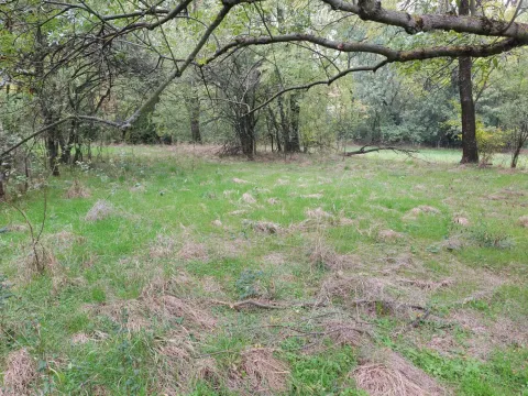 Prodaja, plac, 33900m², Velika Ivanča, Mladenovac - image 10