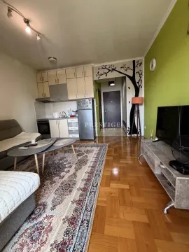 Rent, studio apartment, 31m², Stari Aerodrom, Podgorica - image 5