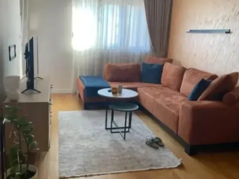 Izdavanje, jednosoban stan, 50m², Central Point, Podgorica - image 3