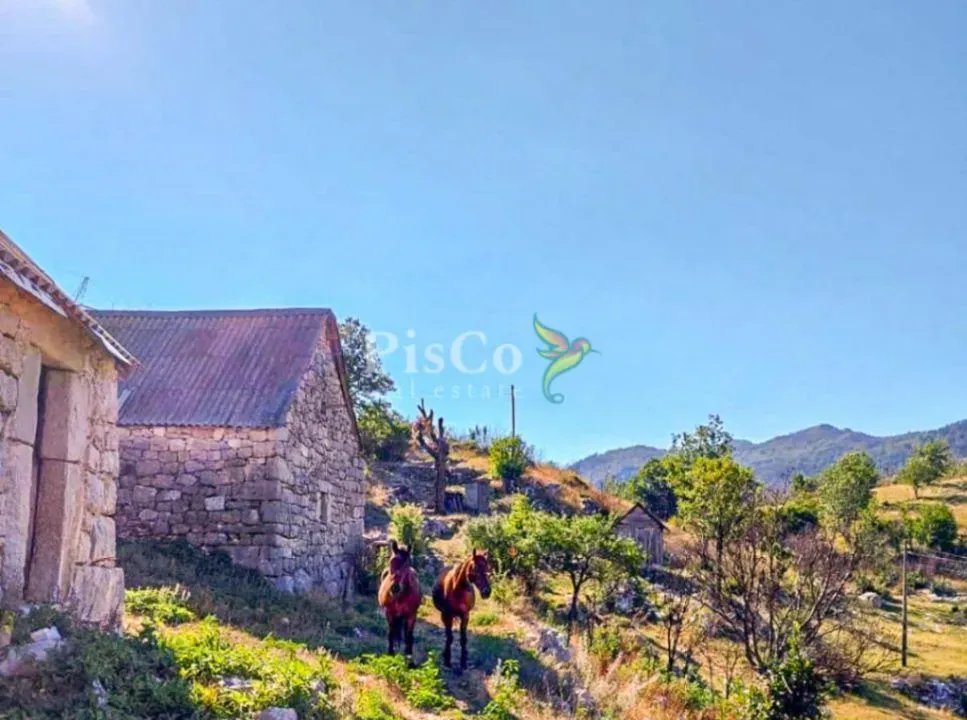 Prodaja, plac, 480000m², Brestice, Nikšić