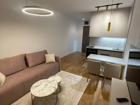 Rent, apartment, 27m², Zabjelo, Podgorica - image 4