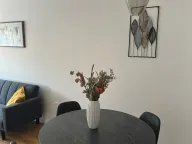 Izdavanje, jednosoban stan, 48m², Central Point, Podgorica - image 7