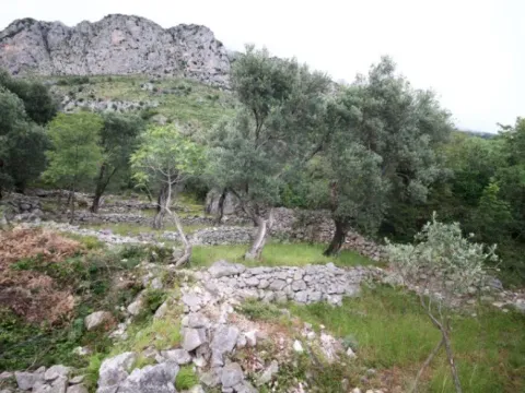 Sale, land lot, 2650m², Reževići, Budva - image 5