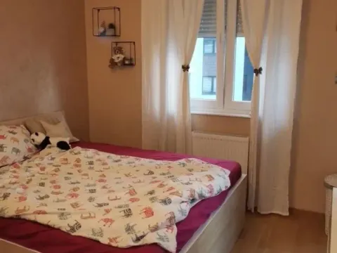 Rent, one bedroom apartment, 46m², Telep, Novi Sad Sve Podlokacije - image 2