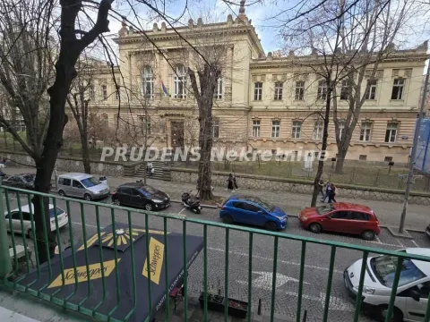 Izdavanje, jednosoban stan, 25m², Cvetni Trg, Vračar Sve Podlokacije - image 11