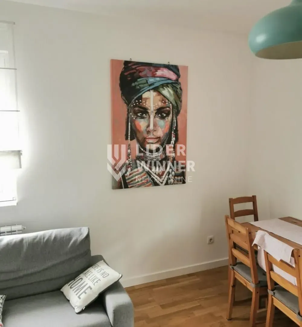 Rent, one bedroom apartment, 41m², Zemun Gornji Grad, Zemun Sve Podlokacije