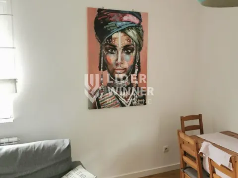 Rent, one bedroom apartment, 41m², Zemun Gornji Grad, Zemun Sve Podlokacije - image 5