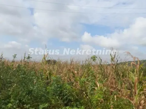 Prodaja, plac, 10800m², Banja Vrdnik, Irig - image 7