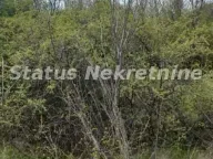 Sale, land lot, 16m², Ledinci, Petrovaradin - image 7