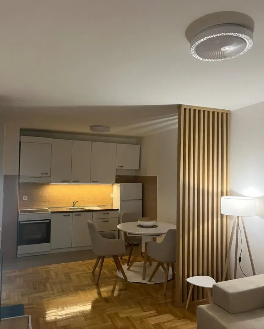 Rent, one bedroom apartment, 42m², Kod Big Fashion-a, Podgorica