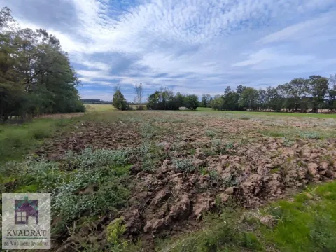 Sale, house, 60m², Stubline, Obrenovac - image 7