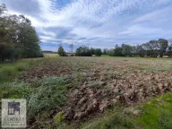 Prodaja, kuća, 60m², Stubline, Obrenovac - image 7