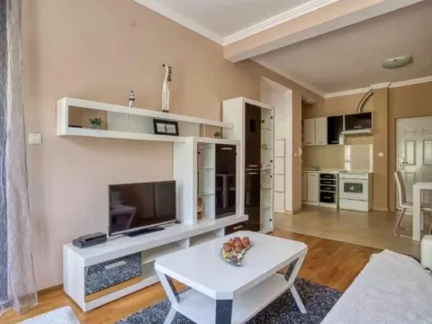 Rent, one bedroom apartment, 55m², Bečići, Budva - image 5