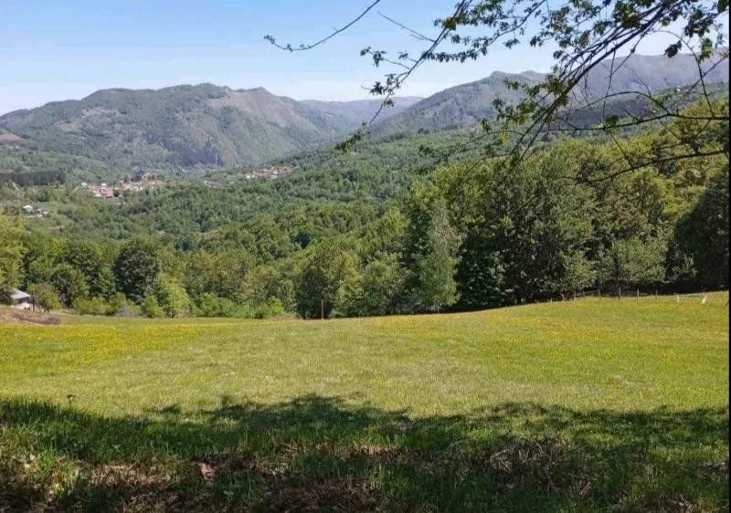 Prodaja, plac, 3000m², Kolašin, Crna Gora