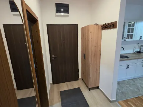 Prodaja, jednosoban stan, 40m², Zabjelo, Podgorica - image 7