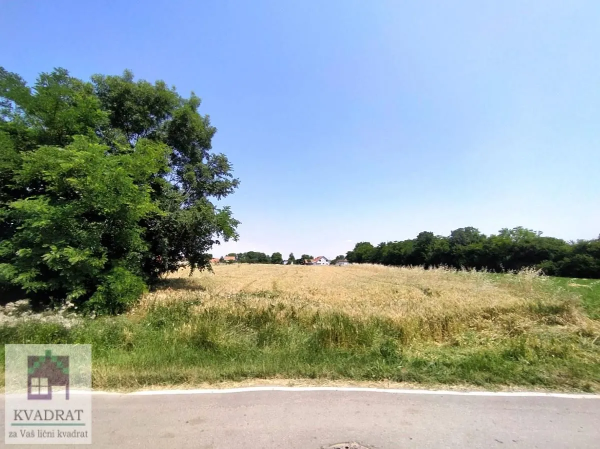 Prodaja, plac, 10000m², Obrenovac, Beograd