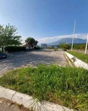 View of the parking area in front of the building with surrounding greenery. - image 10