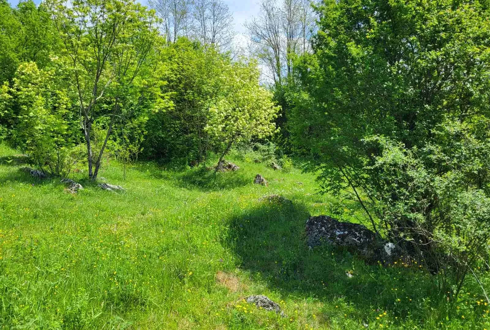Prodaja, plac, 160000m², Nikšić, Crna Gora