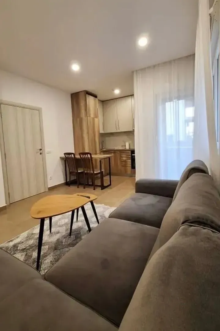 Rent, one bedroom apartment, 45m², Donja Gorica, Podgorica