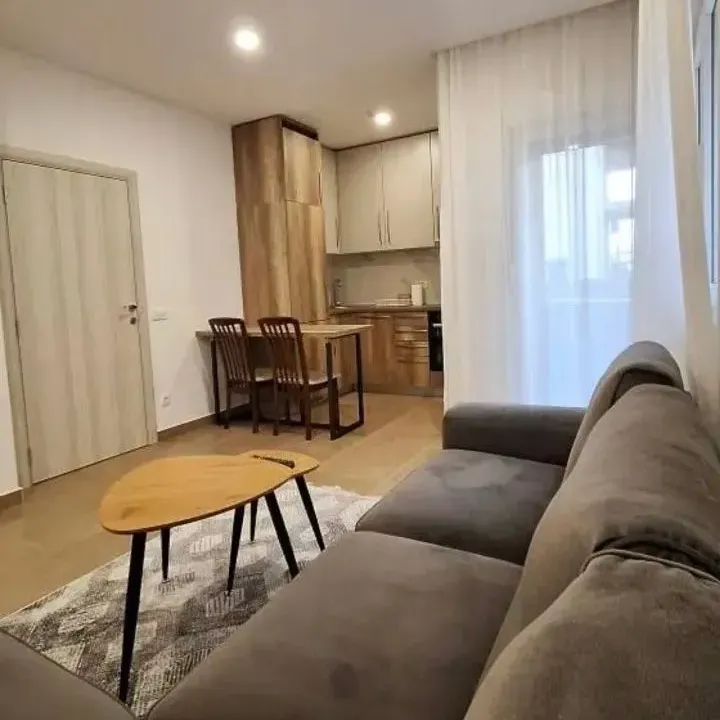 Rent, one bedroom apartment, 45m², Donja Gorica, Podgorica