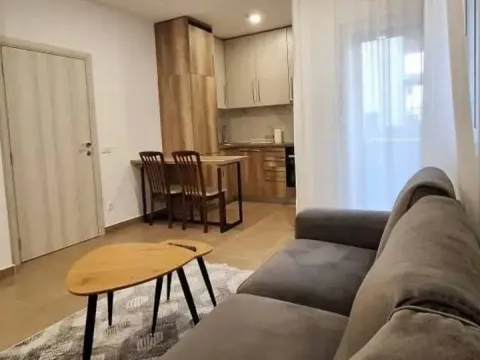 Rent, one bedroom apartment, 45m², Donja Gorica, Podgorica - image 1