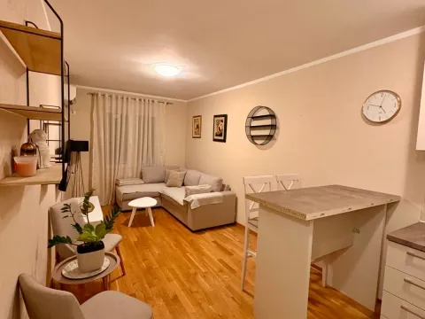 Izdavanje, jednosoban stan, 33m², Zabjelo, Podgorica - image 3