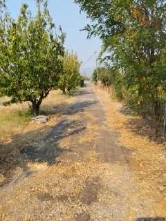 Prodaja, plac, 600m², Donji Kokoti, Podgorica
