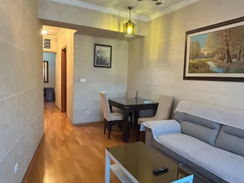 Izdavanje, jednosoban stan, 55m², Centar, Podgorica - image 7