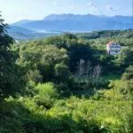 Sale, land lot, 300m², Radanovići, Kotor - image 3