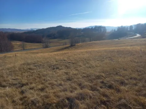 Sale, land lot, 1000m², Pošćenski Kraj, Žabljak - image 2