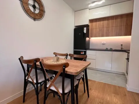 Izdavanje, jednosoban stan, 49m², Central Point, Podgorica - image 9