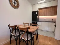 Izdavanje, jednosoban stan, 49m², Central Point, Podgorica - image 9