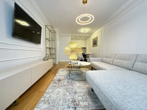 Izdavanje, jednosoban stan, 50m², Central Point, Podgorica - image 2