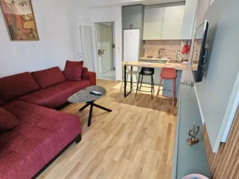 Izdavanje, jednosoban stan, 43m², Zabjelo, Podgorica - image 4