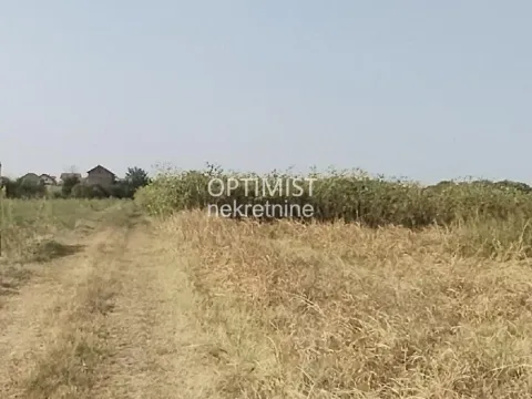 Prodaja, plac, 7925m², Jakovo, Surčin - image 2