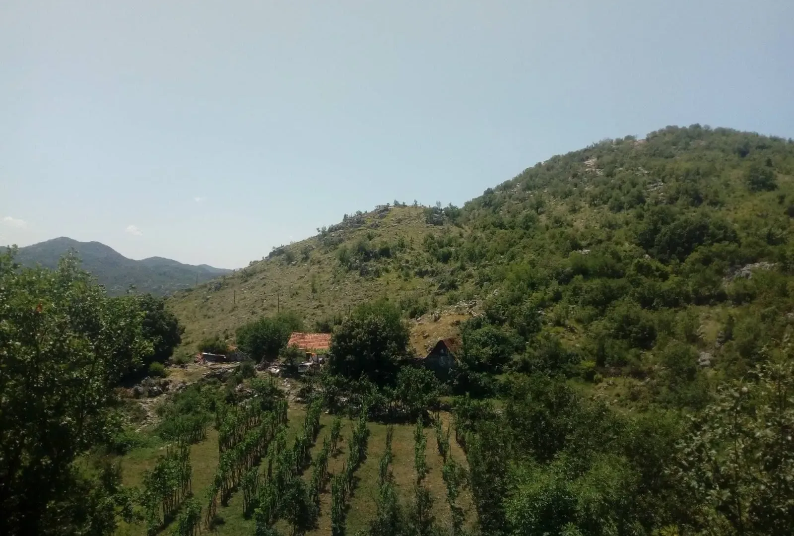 Prodaja, plac, 238441m², Cetinje, Crna Gora