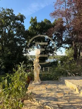 Pogled na dvorište sa dekorativnom skulpturom i zelenilom. - image 33