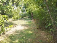 Sale, land lot, Stari Tamiš, Pančevo - image 4