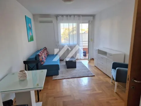Izdavanje, dvosoban stan, 45m², Centar, Novi Sad - image 2