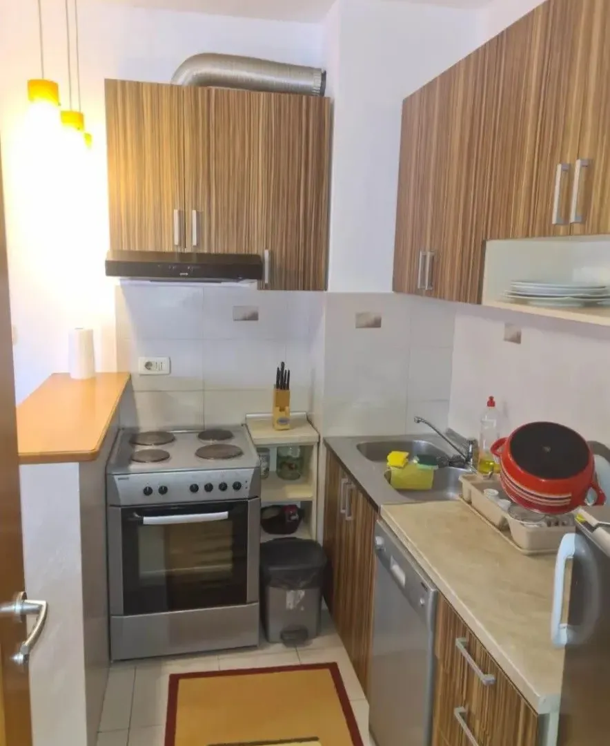 Rent, one bedroom apartment, 45m², Autobuska stanica, Podgorica