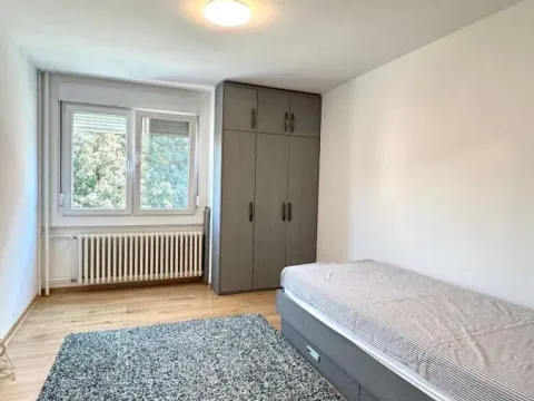 Rent, three bedroom apartment, 94m², Lion, Zvezdara Sve Podlokacije - image 19