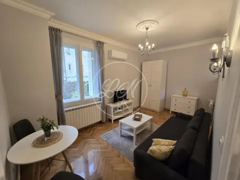 Izdavanje, jednosoban stan, 32m², Profesorska Kolonija, Palilula Sve Podlokacije - image 12