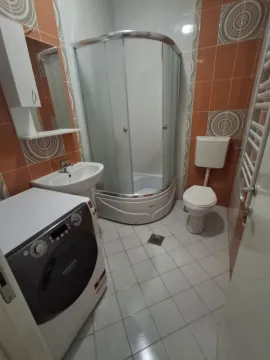 Bathroom equipped with a shower cabin, washbasin, toilet, and washing machine. - image 12