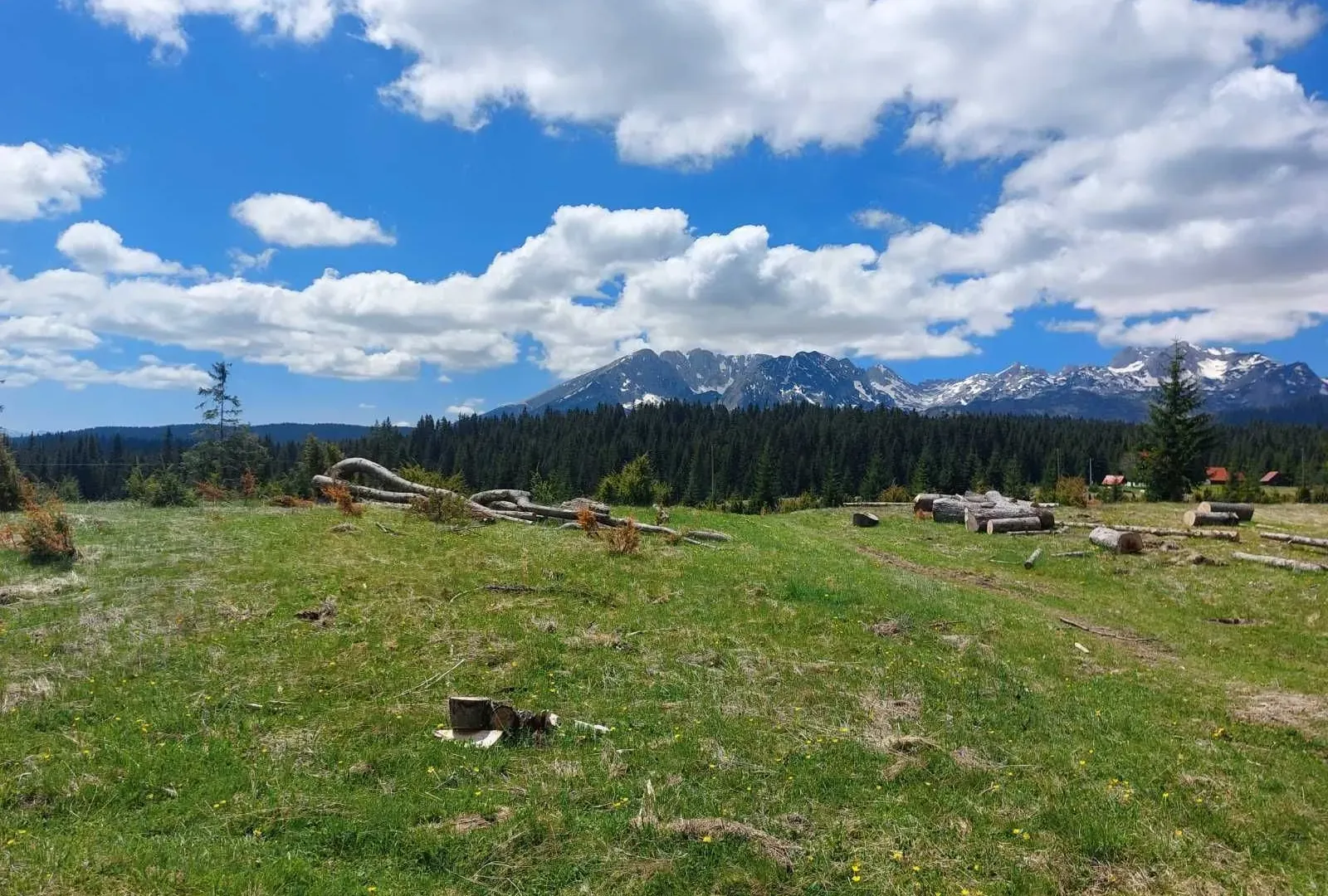 Prodaja, plac, 17505m², Žabljak, Crna Gora