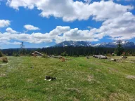 Sale, land lot, 17505m², Žabljak, Crna Gora - image 1