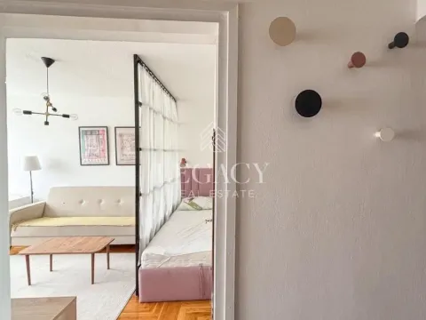 Izdavanje, jednosoban stan, 35m², Zemun Sve Podlokacije, Beograd - image 2